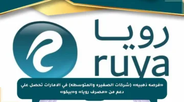 «فرصة ذهبية» {شركات الصغيرة والمتوسطة} في الإمارات تحصل على دعم من «مصرف رويا» و«بيكو»